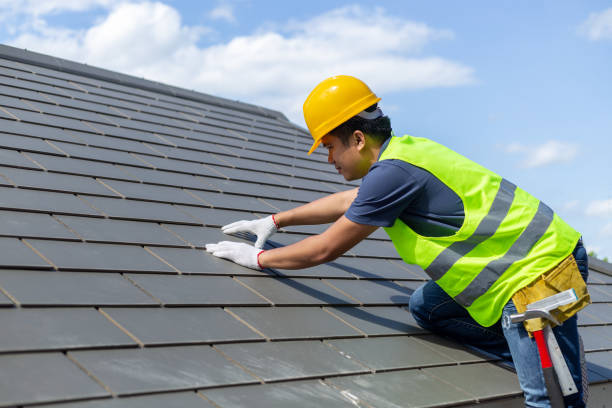 Best Roof Gutter Cleaning  in New Bern, NC